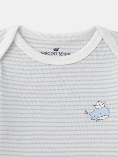 КОМПЛЕКТ ОТ 3 БРОЯ БОДИТА С ДЕСЕН  